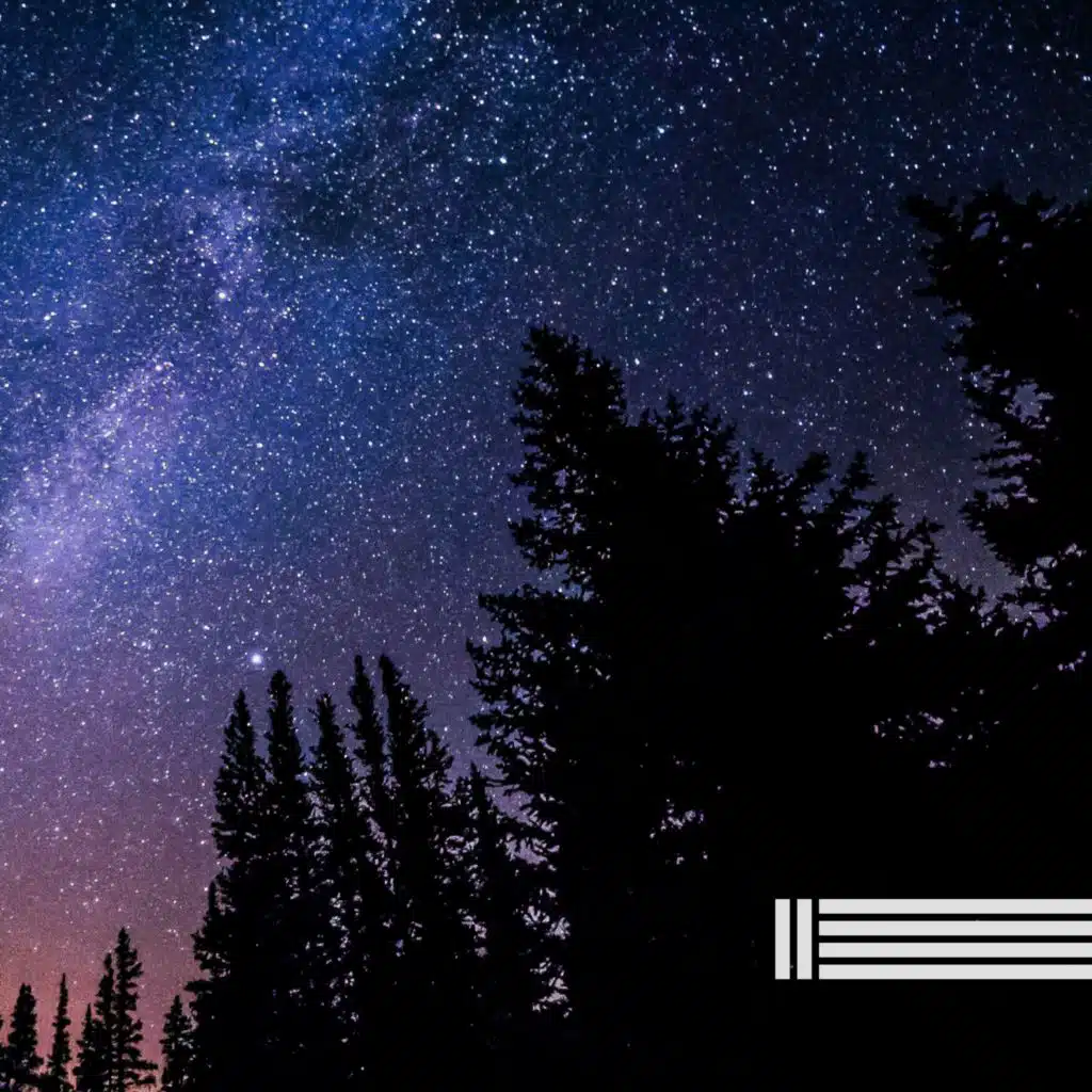 夜のメロディー