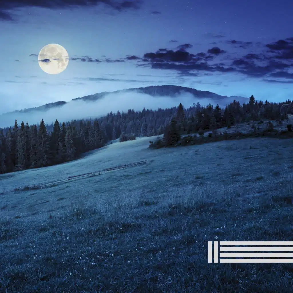 Grillengeräusche (Schleife)