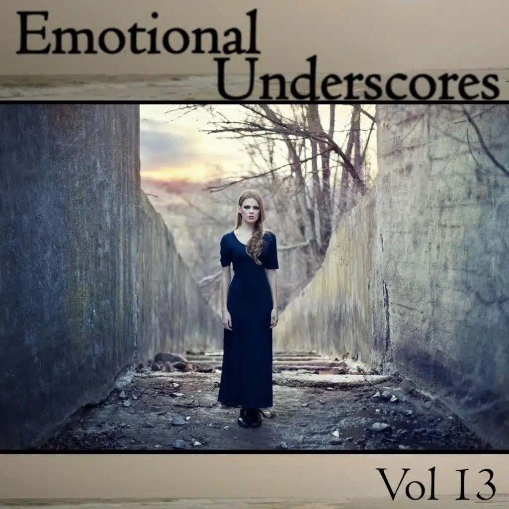 Emotional Underscores, Vol. 13