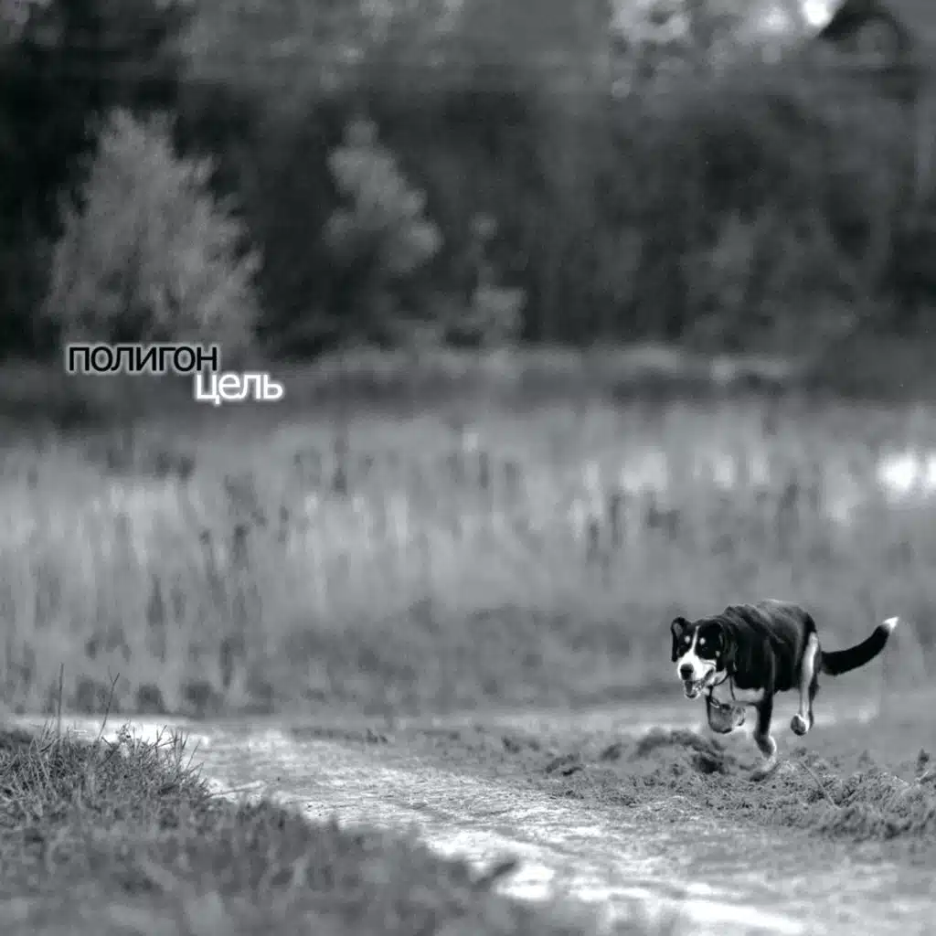 Немного рока