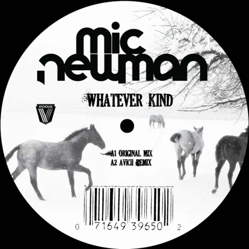 Whatever Kind (Avicii Remix)