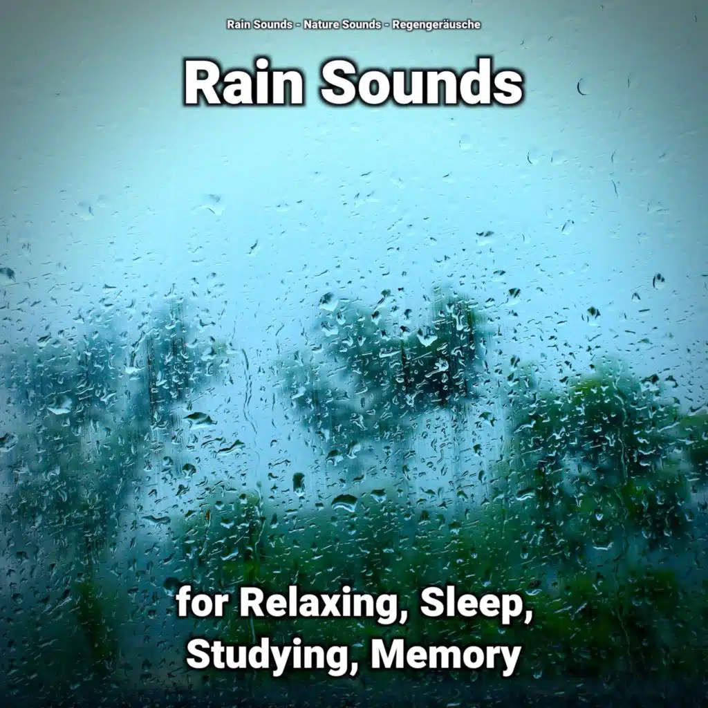 Rain Sounds for Relaxing and Sleep Pt. 2