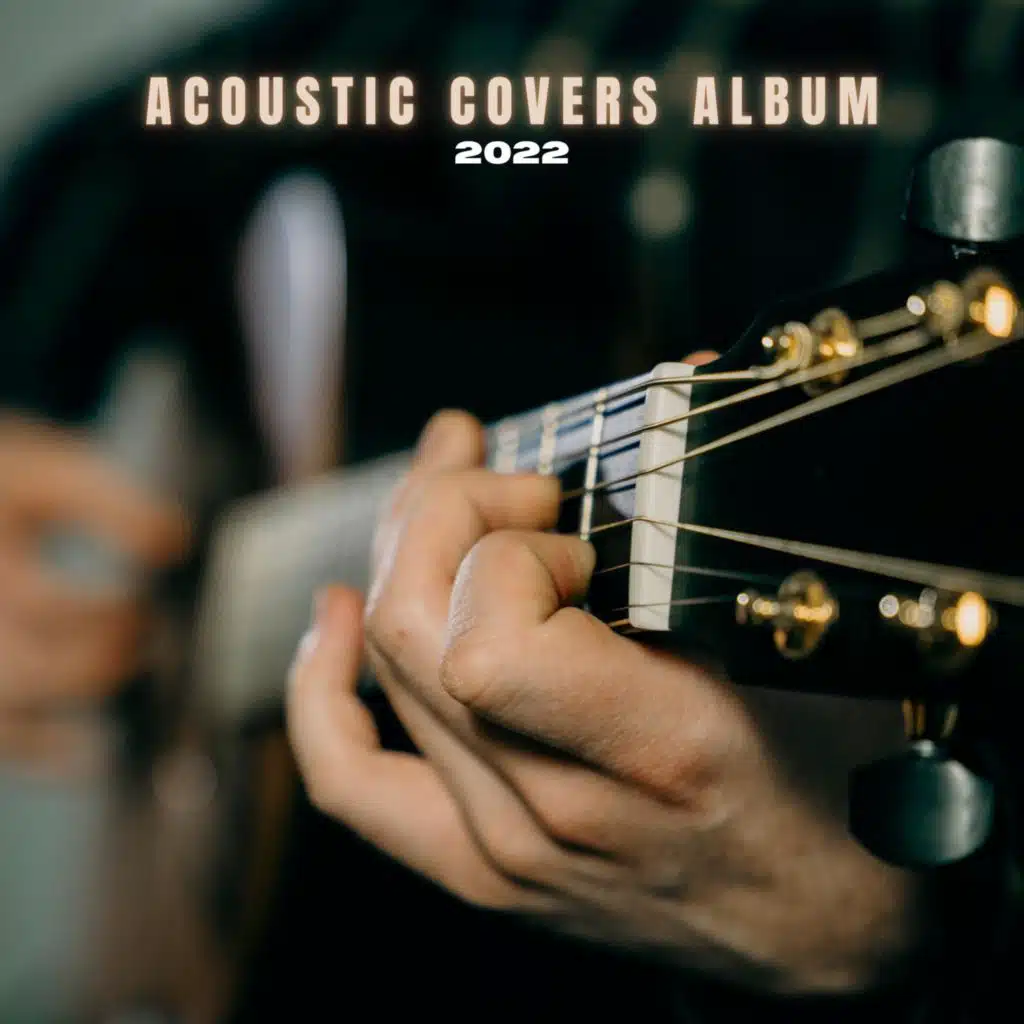 Video Killed the Radio Star (Acoustic)