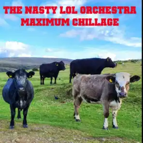 The Nasty Lol Orchestra