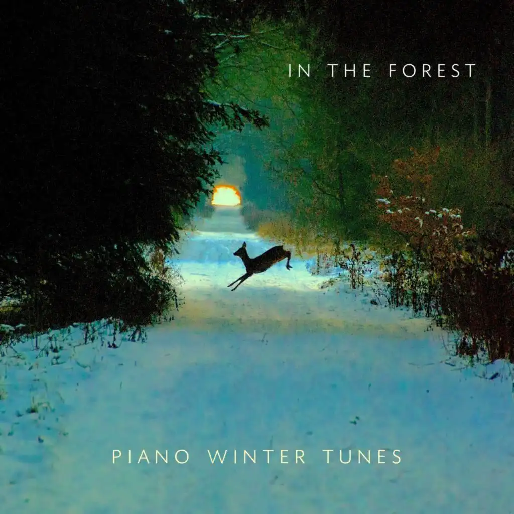 In the Forest - Piano Winter Tunes (Love & Friendship Noel 2021 Songs)