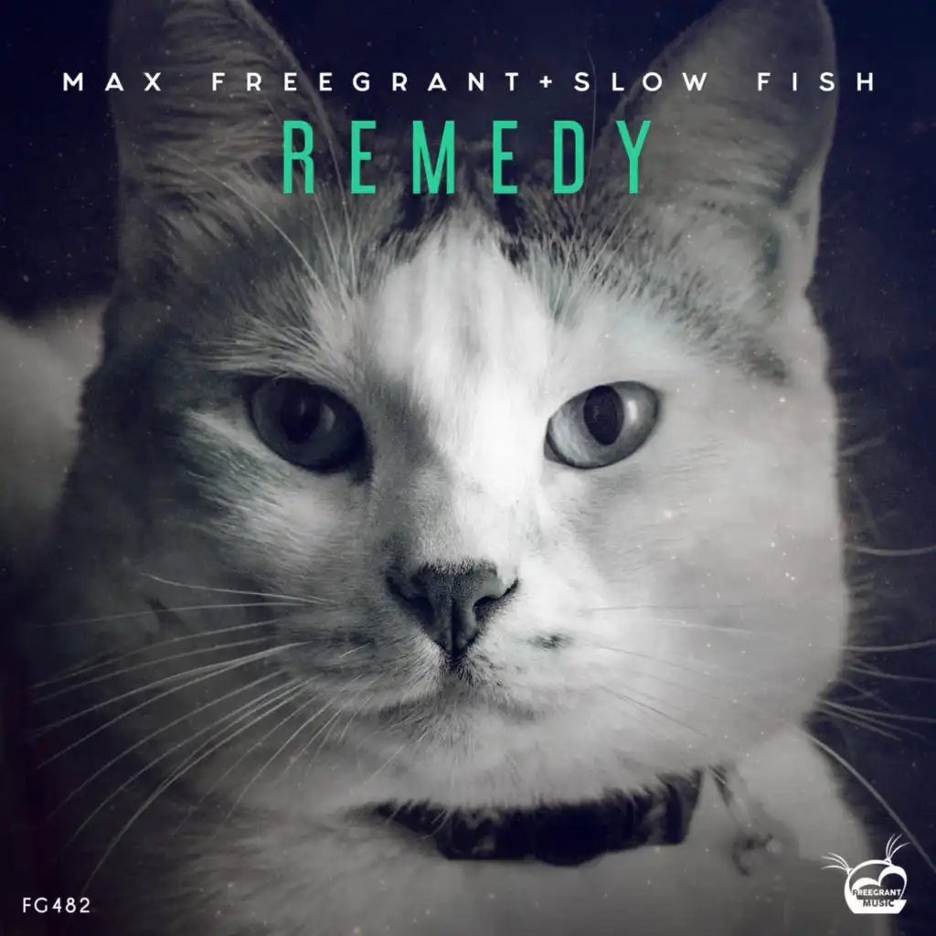 Remedy (Extended Mix)