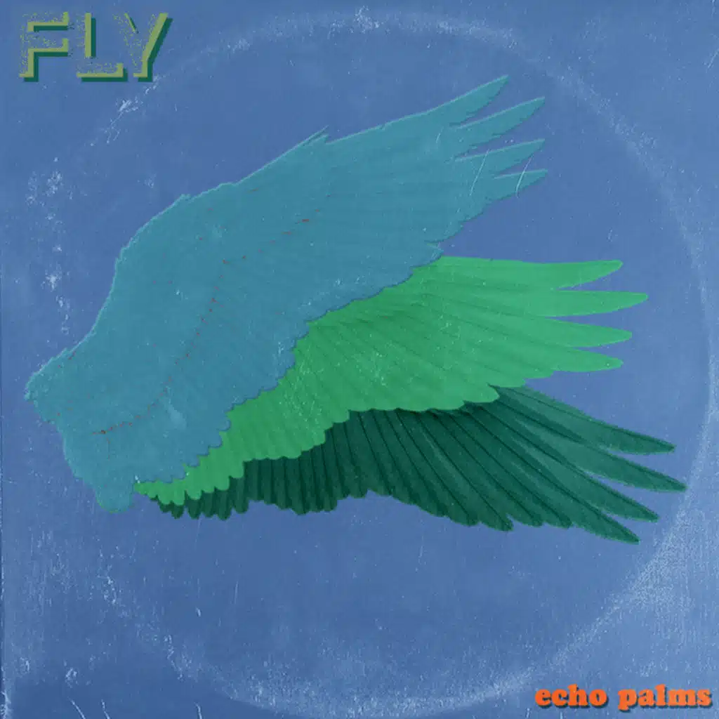 Fly