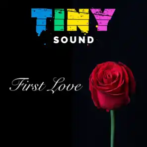 Tiny Sound