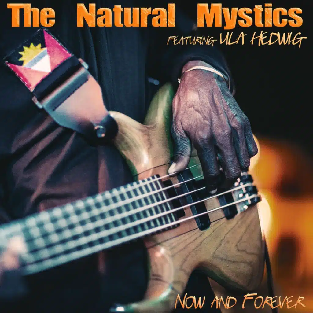 Now and Forever (feat. Ula Hedwig)