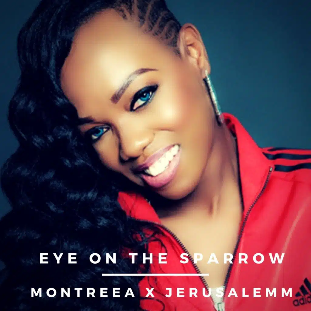 Eye on the Sparrow (feat. Jerusalemm)