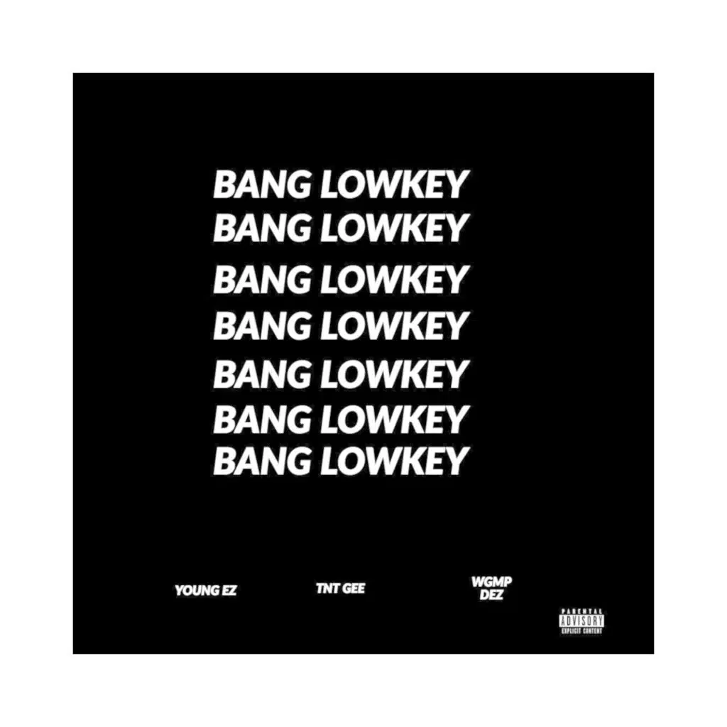 Bang Lowkey (feat. Wgmp Dez & Tnt Gee)
