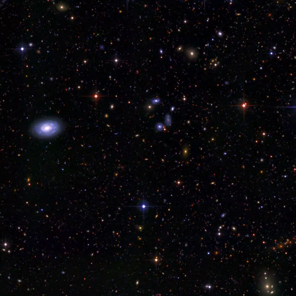 Addicted to the Barnyard