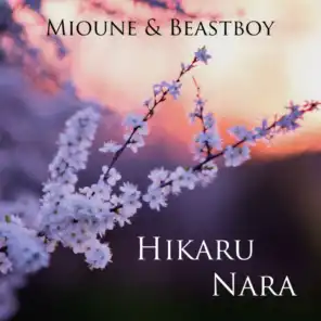 Hikaru Nara (feat. Beastboy)