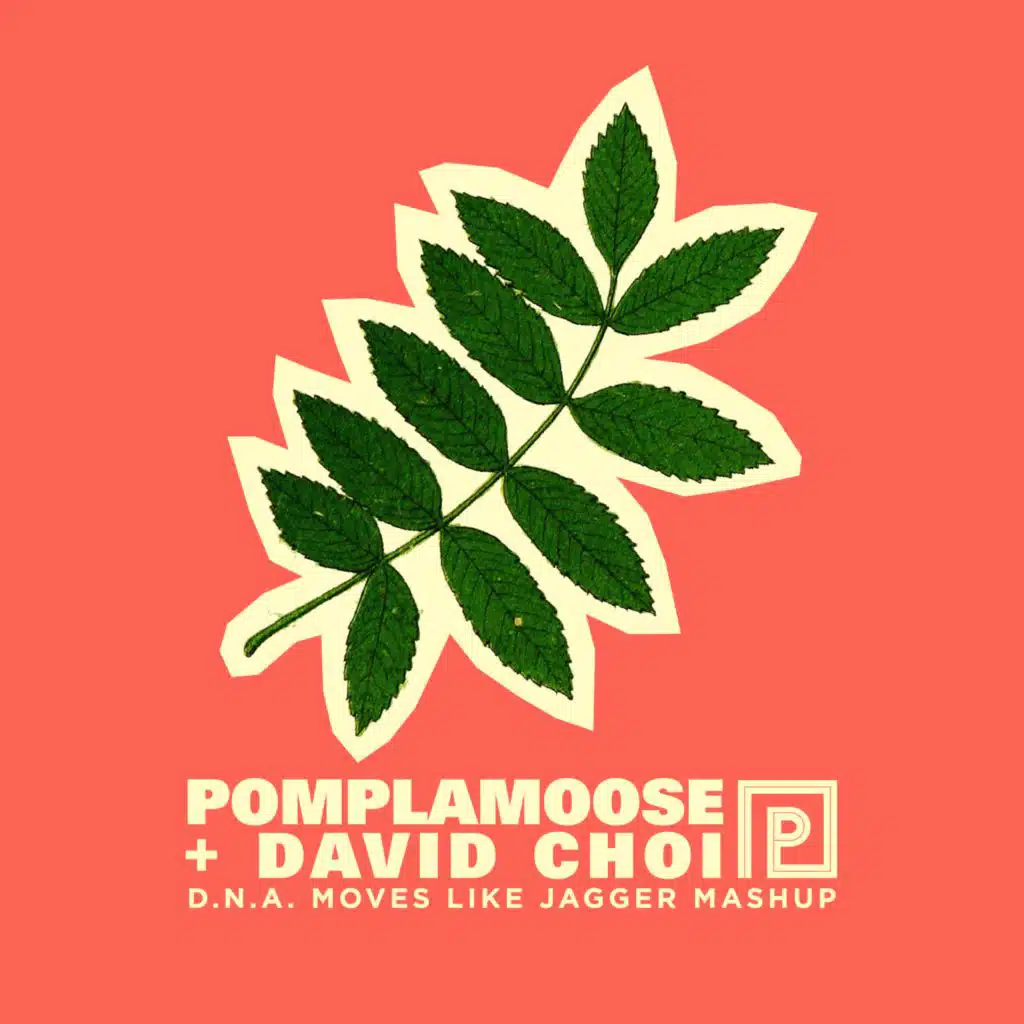 D.N.A. Moves Like Jagger Mashup (feat. David Choi)