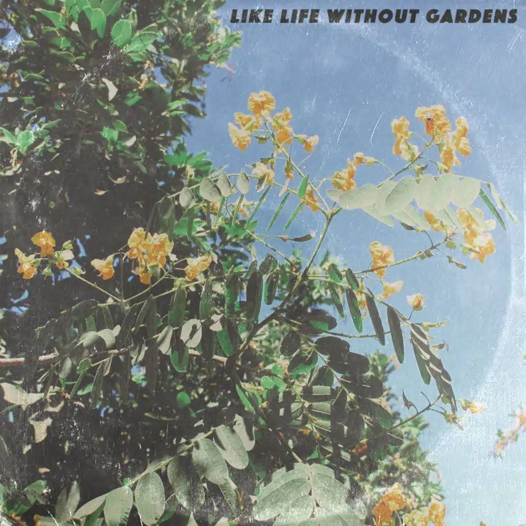 Une Suite Pour Elle, Qui M'aime