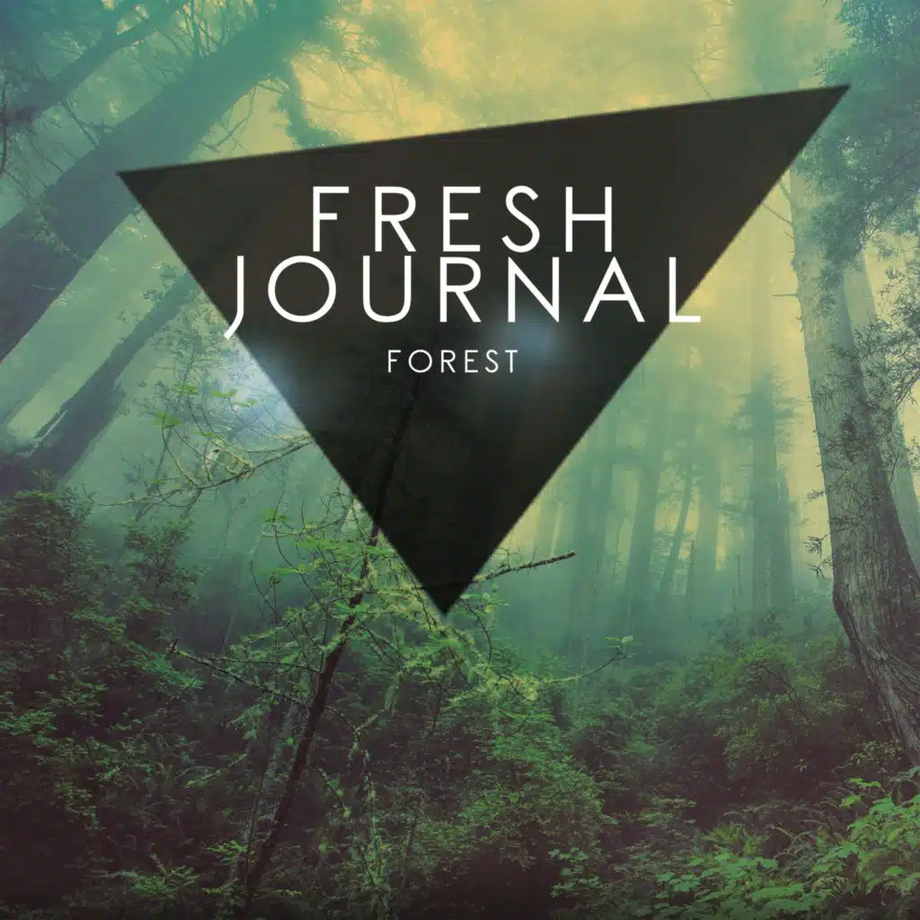 Soundscapes World (Xero Day Mix)