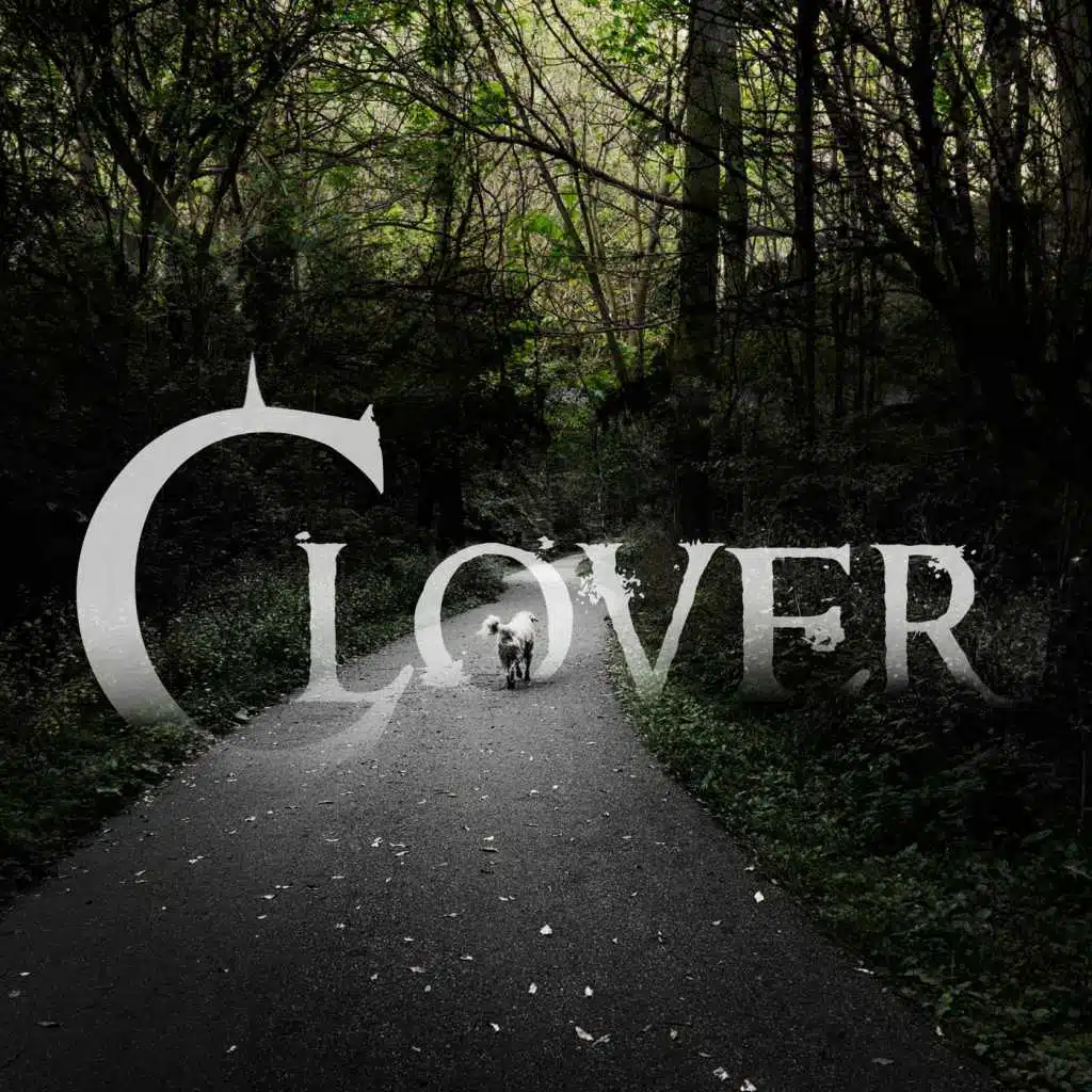 Clover
