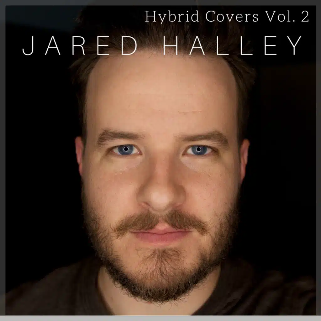 Hybrid Covers, Vol. 2