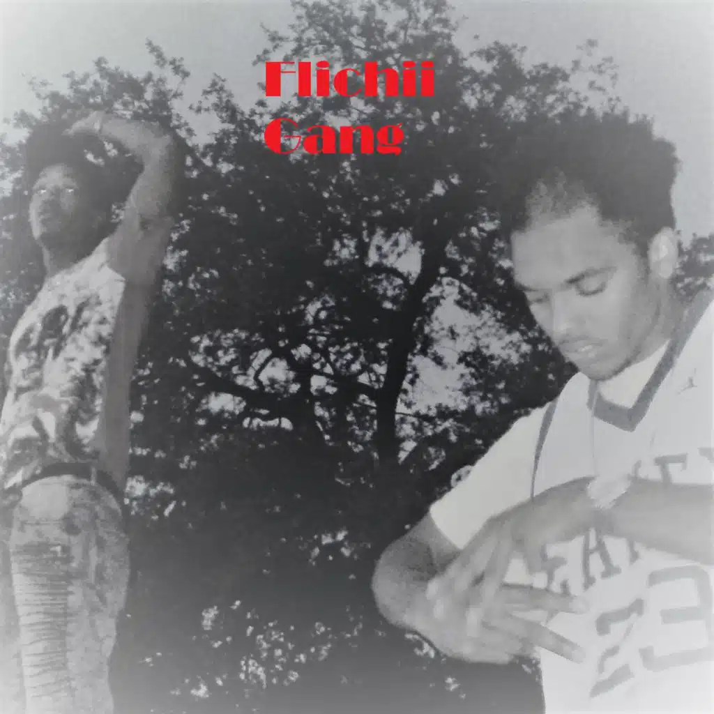 Flichii Gang