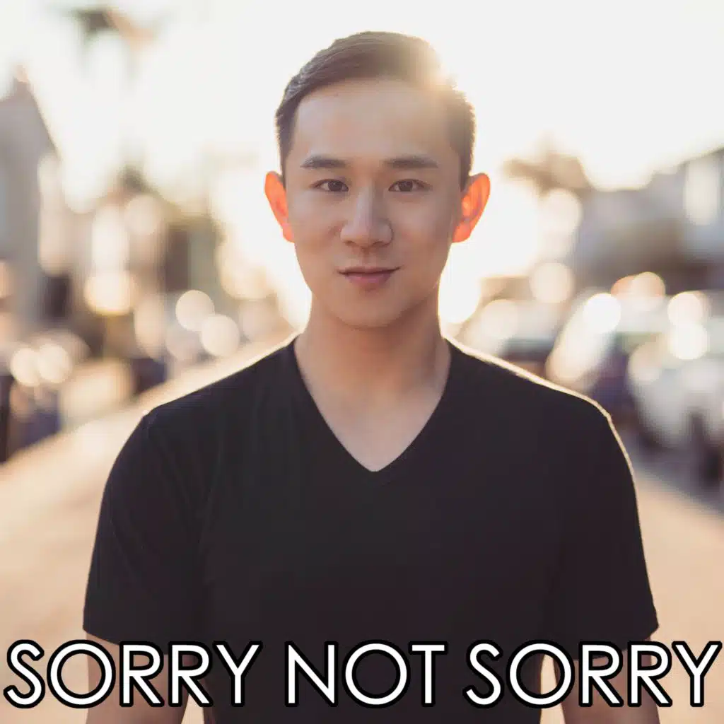 Sorry Not Sorry (feat. Jules Aurora)
