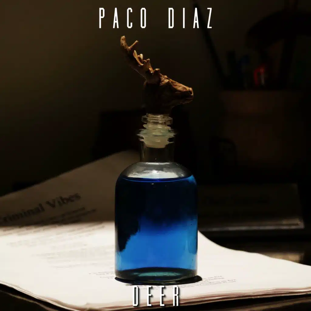 Seducing a Stranger (Acoustic)