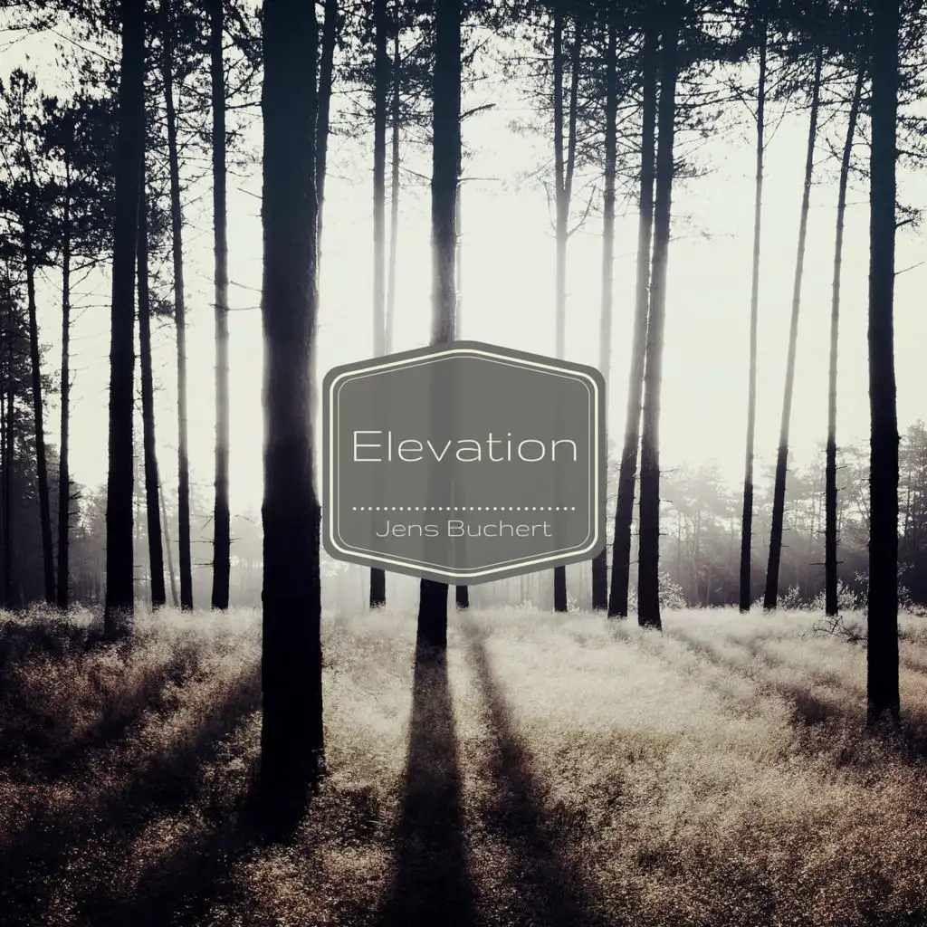 Elevation