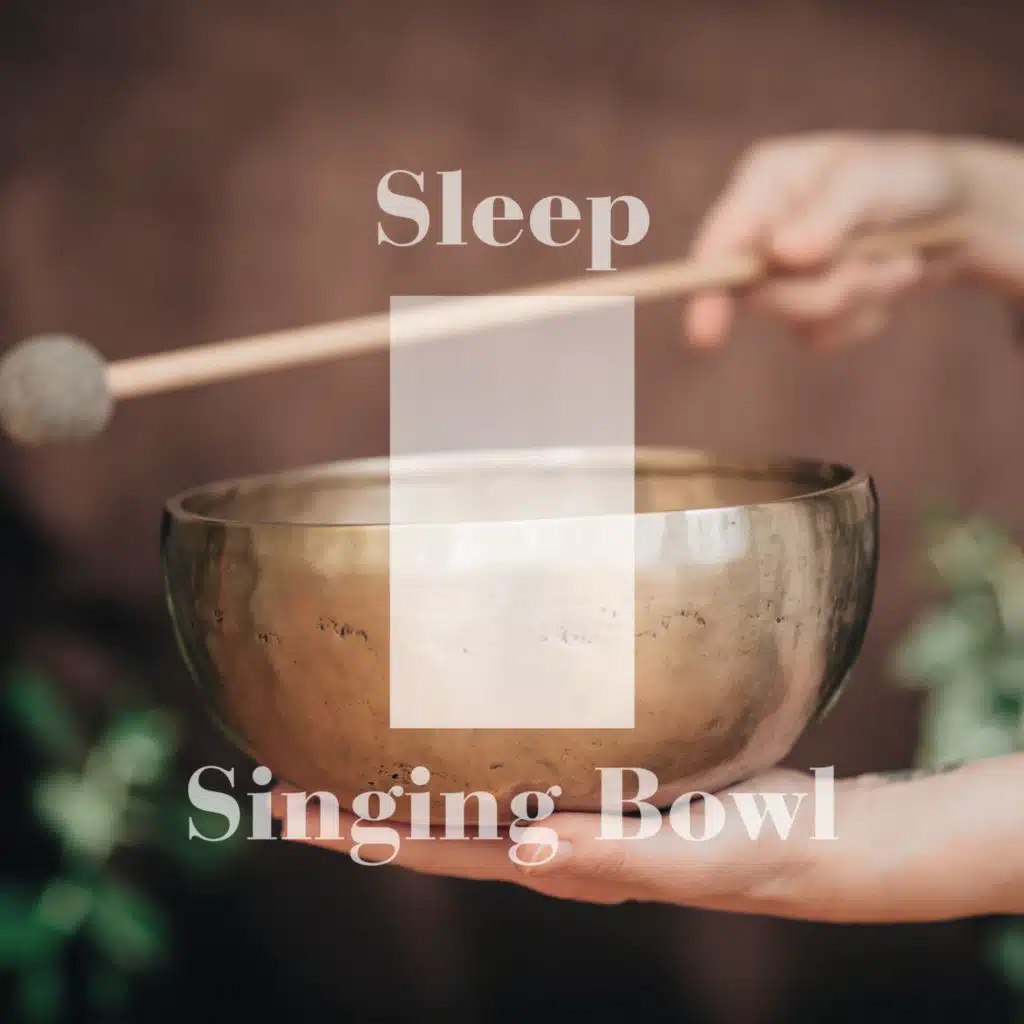 Sleep Singing Bowl Sounds Deep White Noise