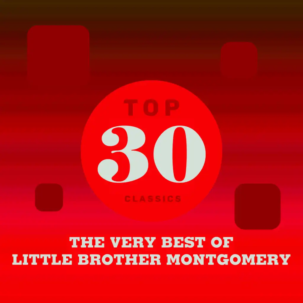 Top 30 Classics - The Very Best of Little Brother Montgomery