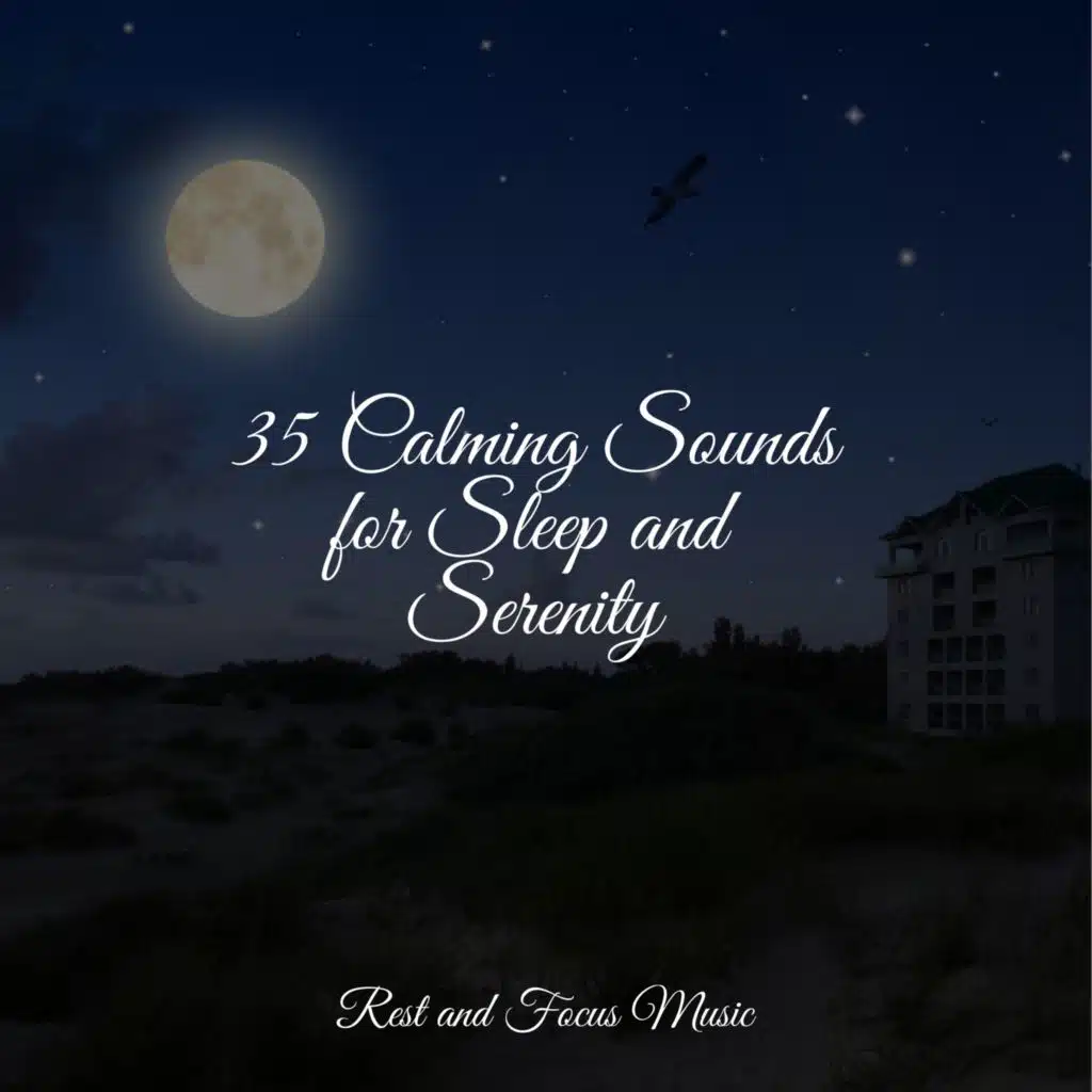 35 Calming Sounds for Sleep and Serenity
