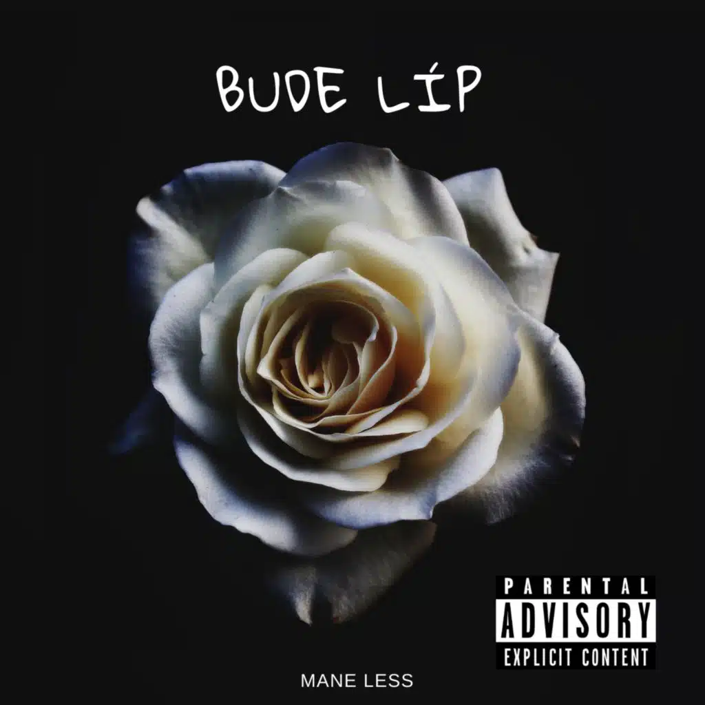 Bude líp (feat. Mane Less)