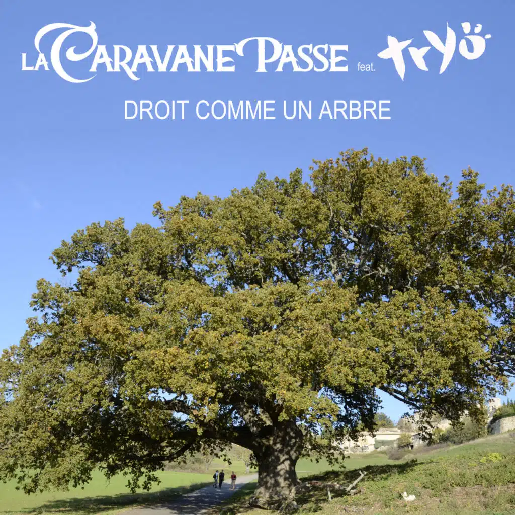 Droit comme un arbre (feat. tryo)