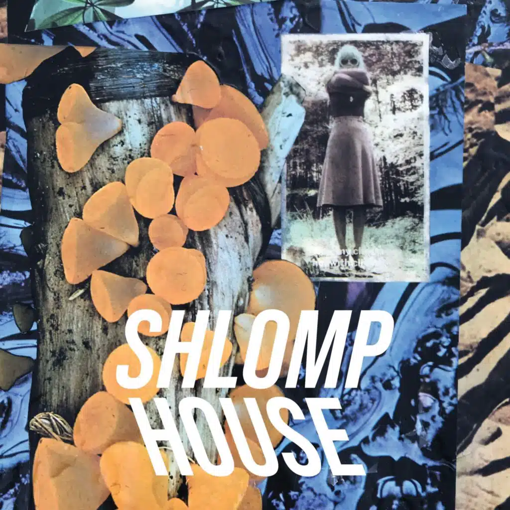 Shlomp House