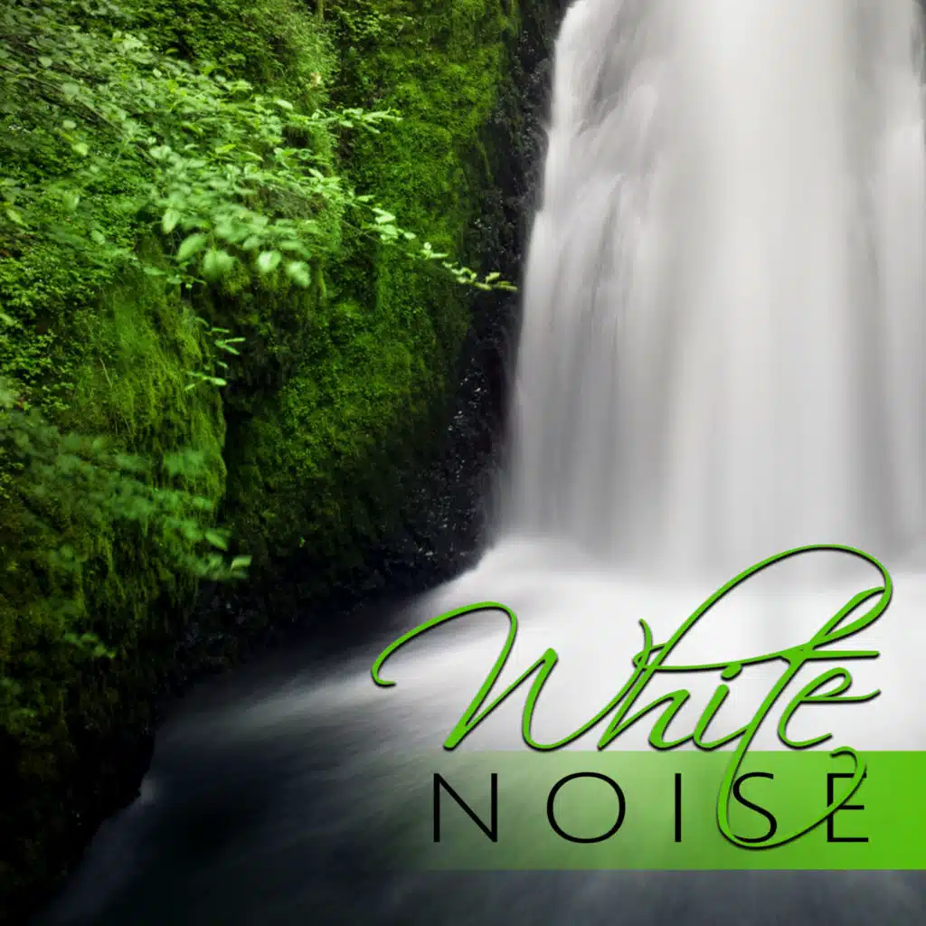 Flute Music (アロママッサージ, マッサージオイル, ウェルネス)