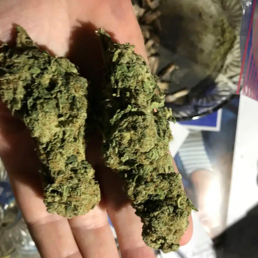 Pot Wizard: Take a Break