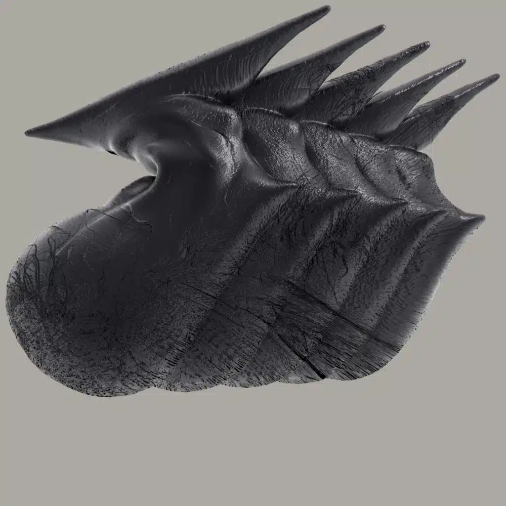 s2211224rst
