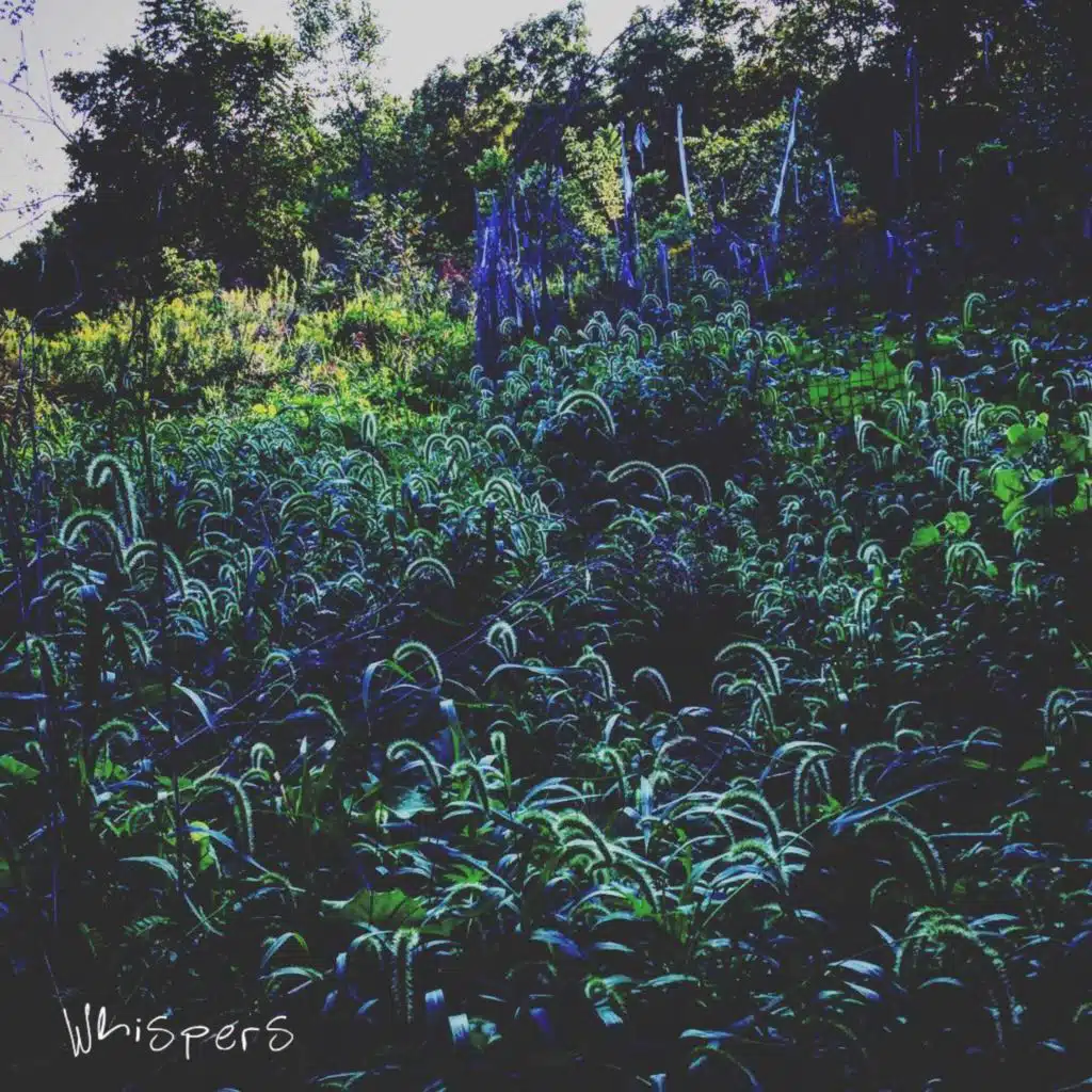 Whispers (feat. Elizabeth Kang)