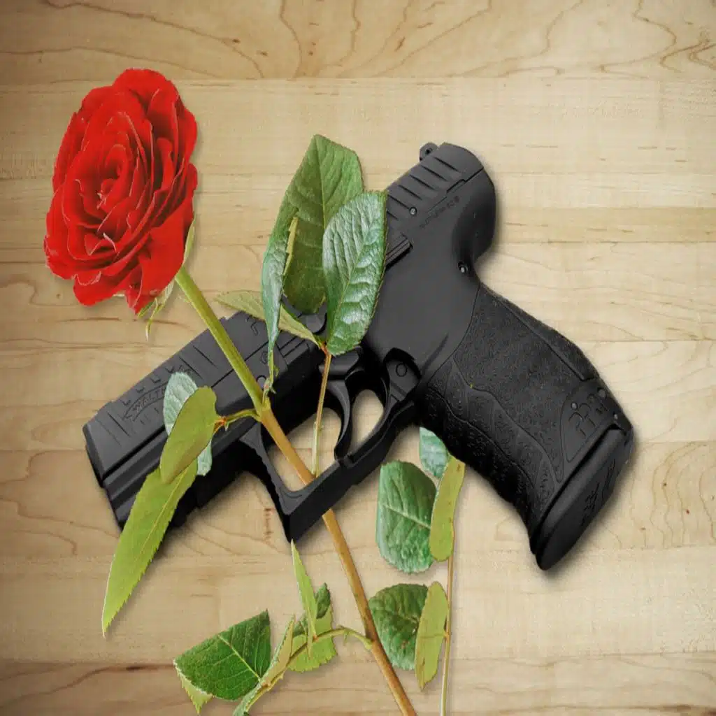 Guns and Roses