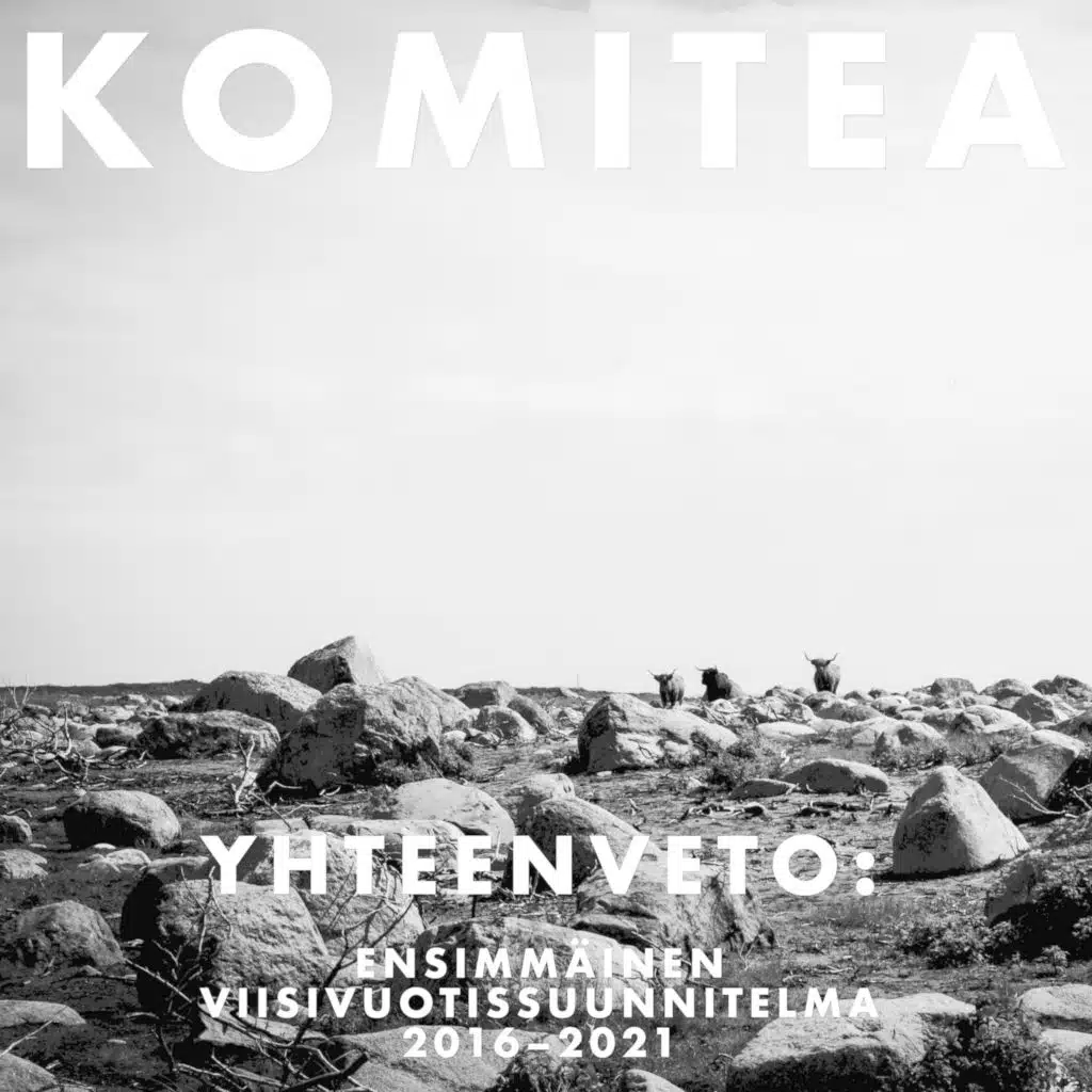 Komitea – Yhteenveto: ensimmäinen viisivuotissuunnitelma 2016–2021
