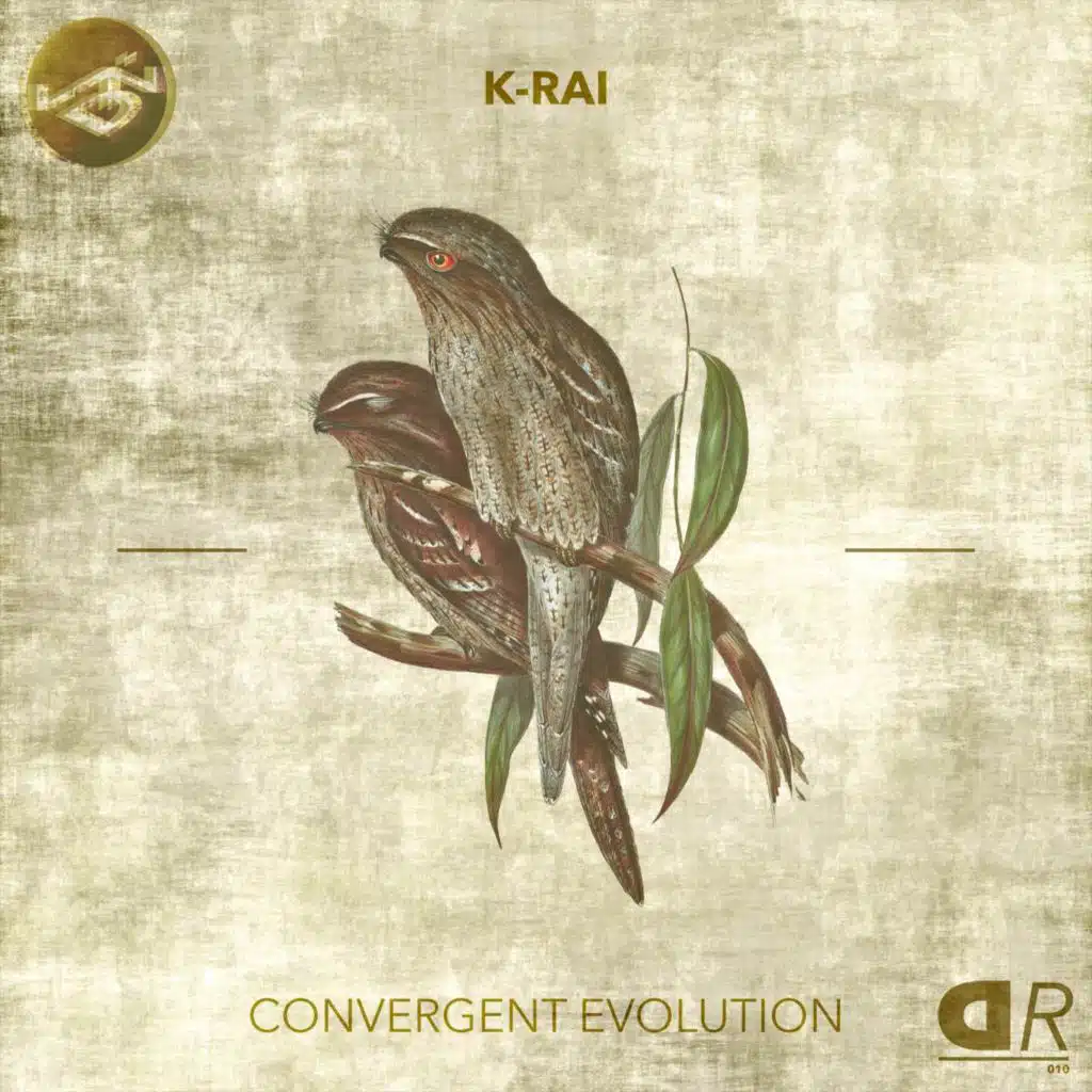 K-Rai