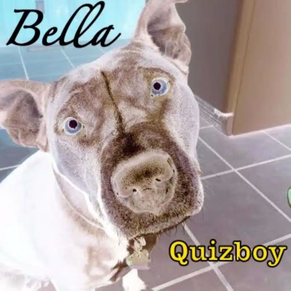 Bella