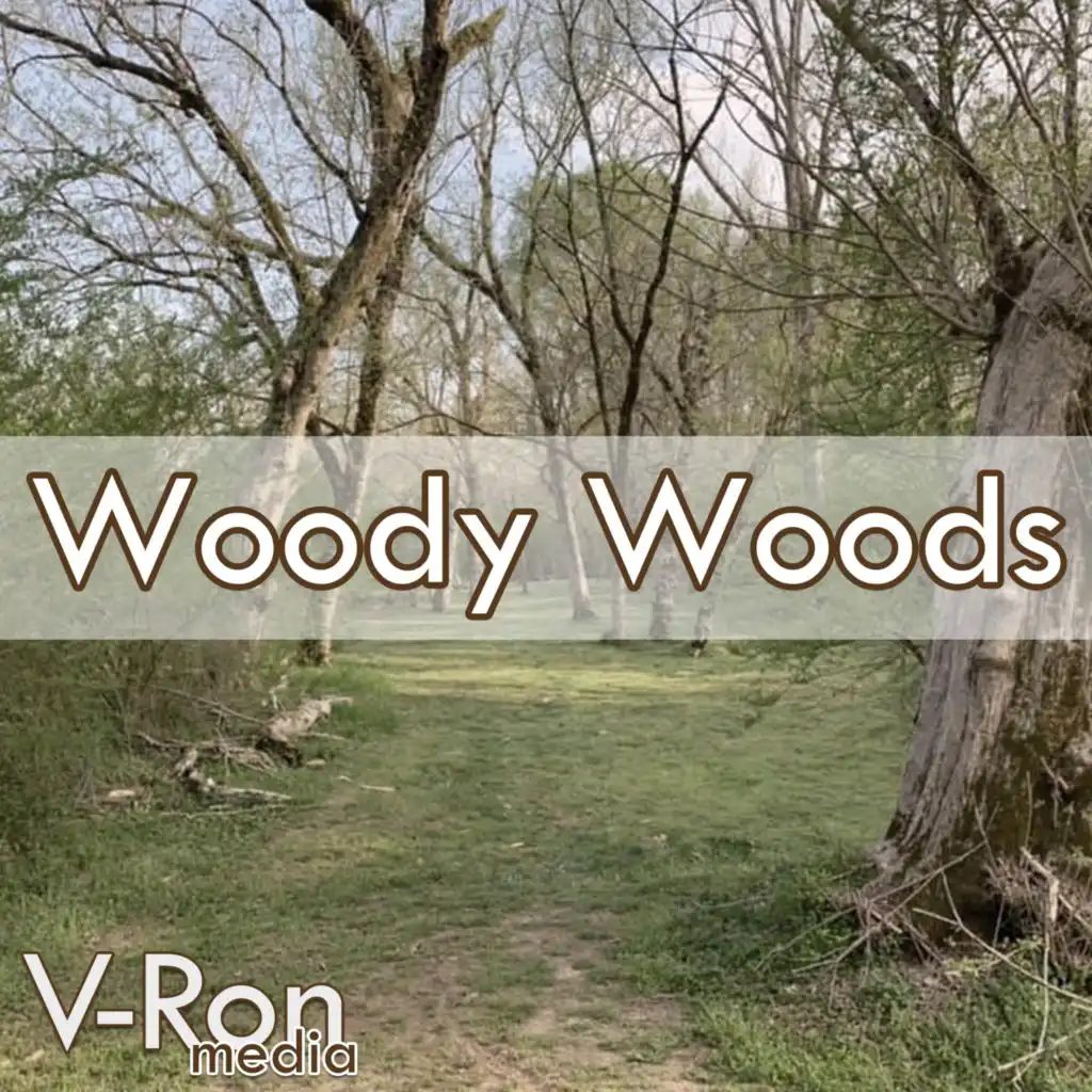 Woody Woods (From "Mario Party 3") (Cover)