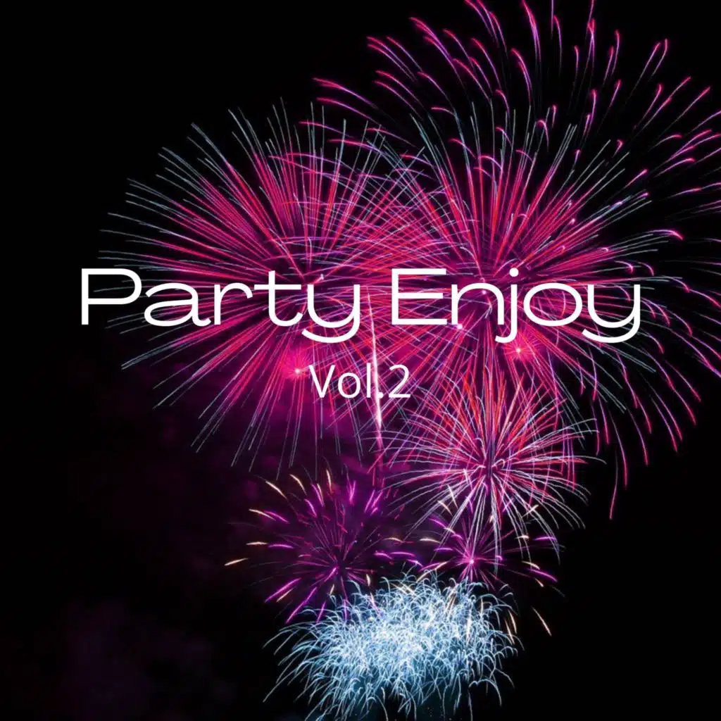 Party Enjoy, Vol. 2
