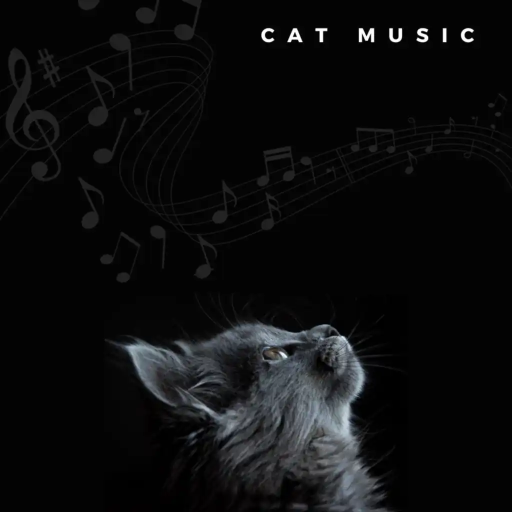 Sleep Music For Cats