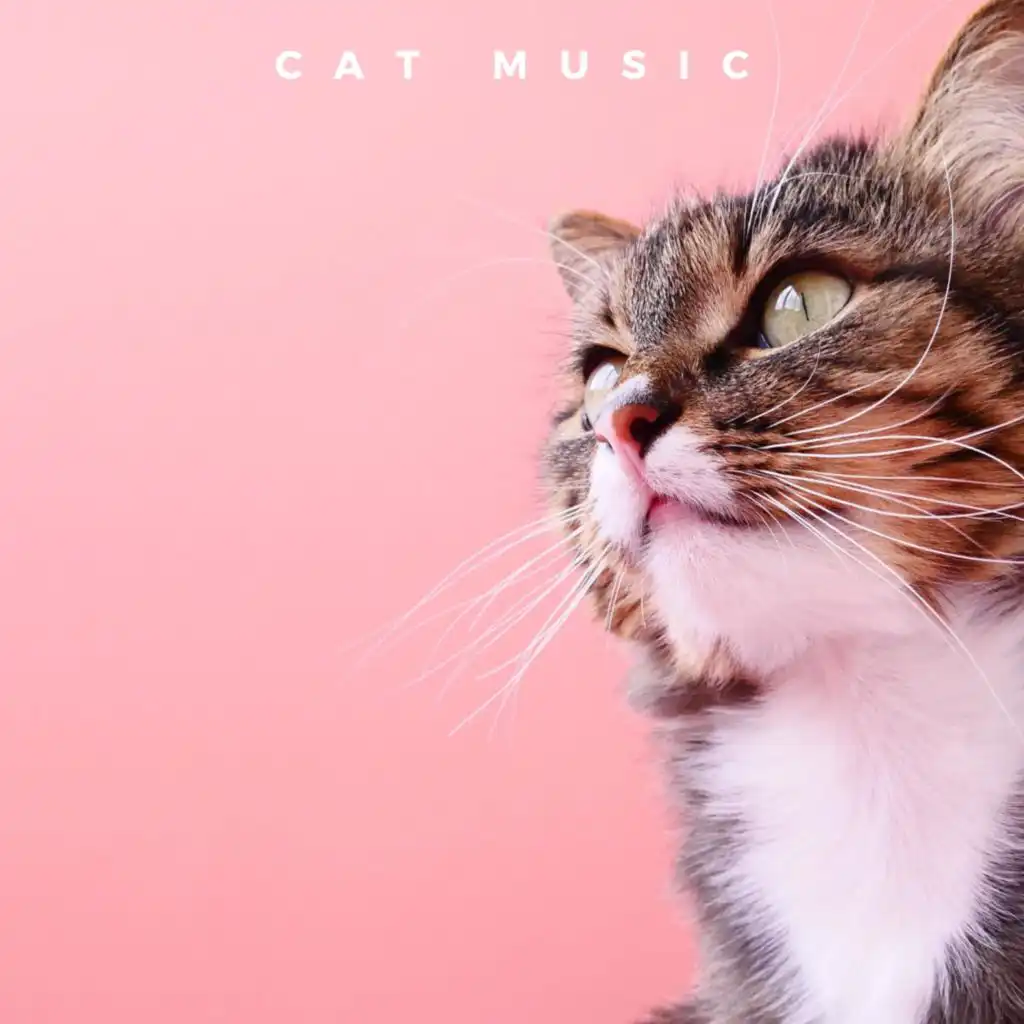 Peaceful Music For Cats