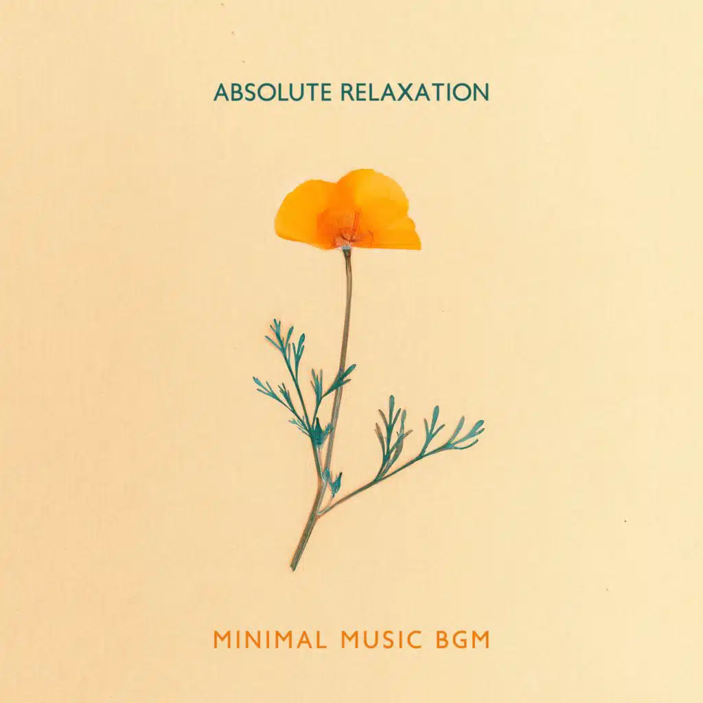 Absolute Relaxation (Minimal Music BGM)