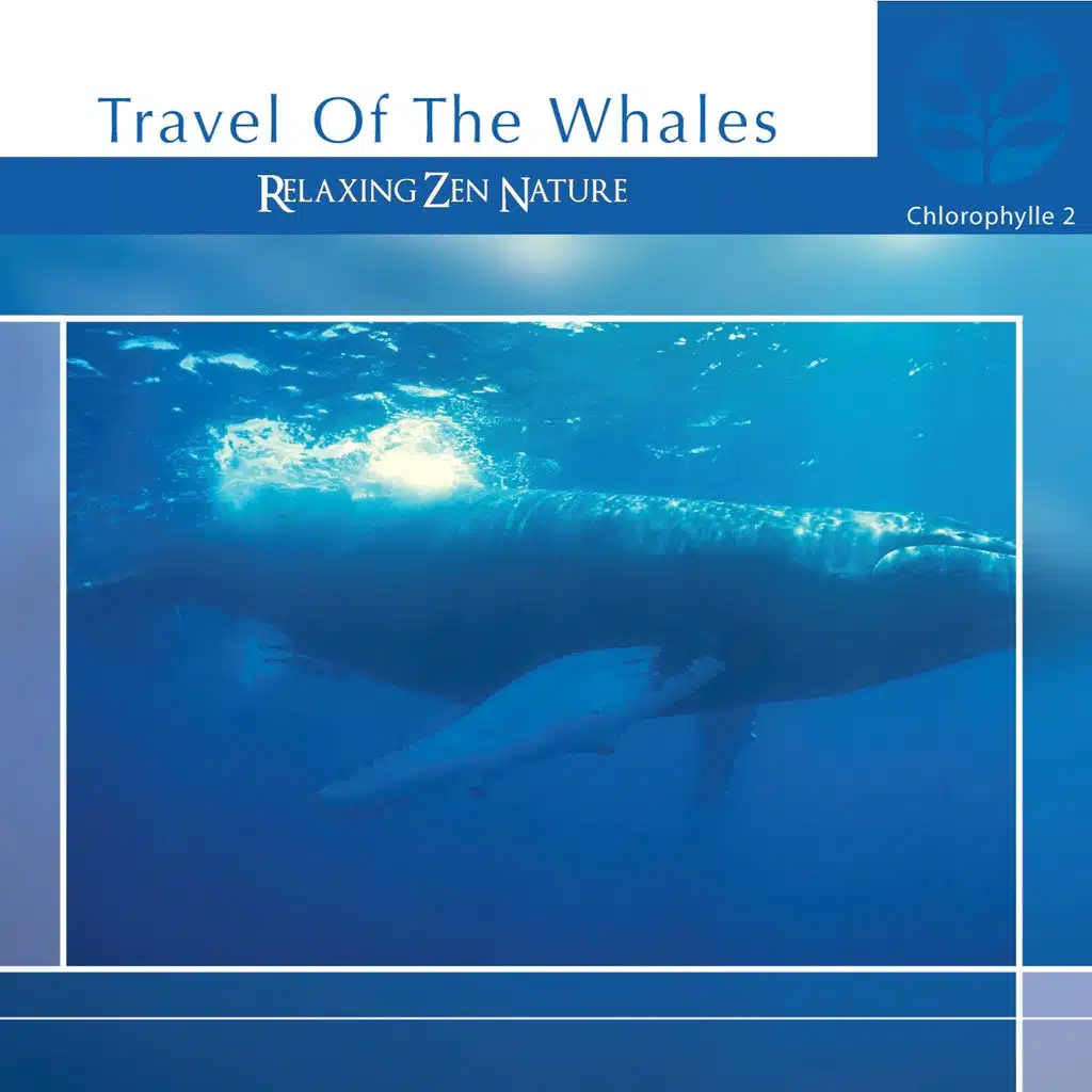 Chlorophylle II Travel of the Whales - Relaxing Zen Nature