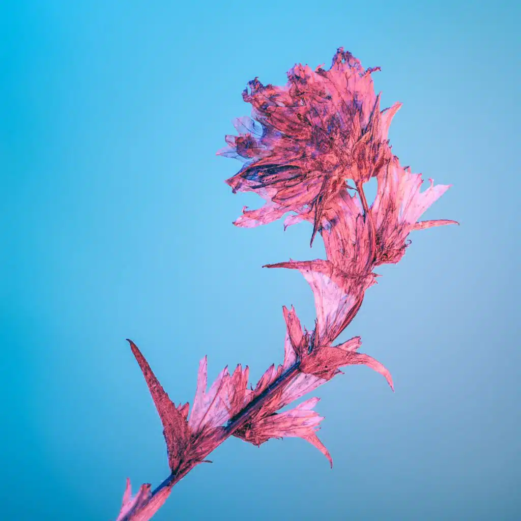 Schubert - Impromptus