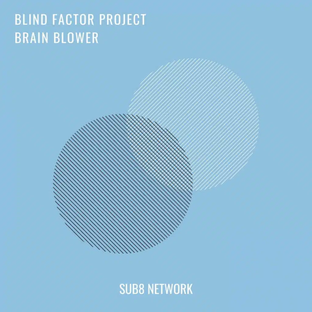 Blind Factor Project