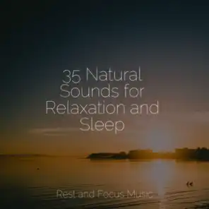 The Sleep Specialist, Meditação Clube, Massage Tribe