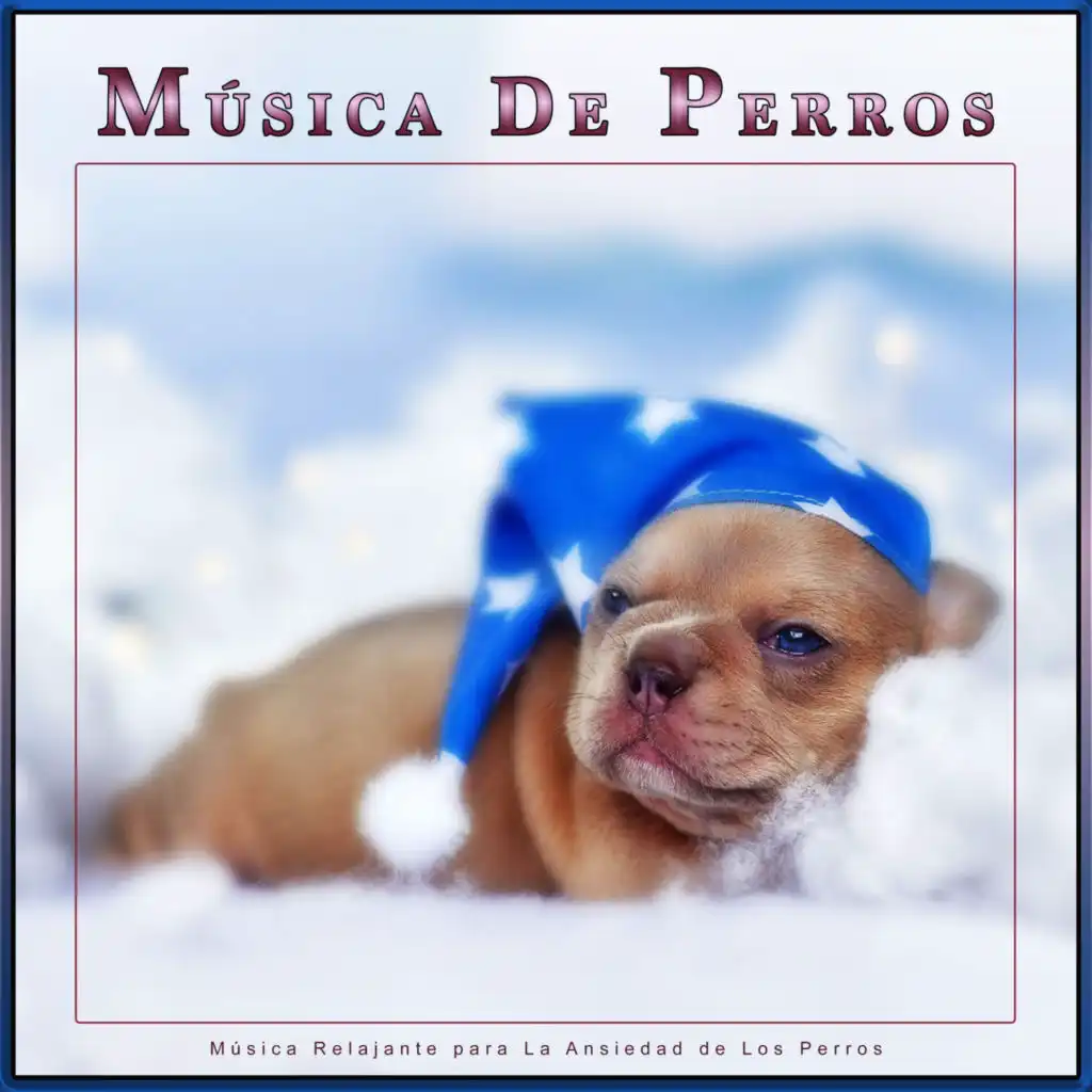 Música para Perros para Dormir